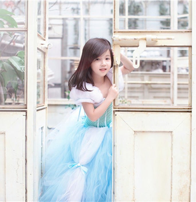 Girls Blue Puffy Skirt Party Tutu Dress