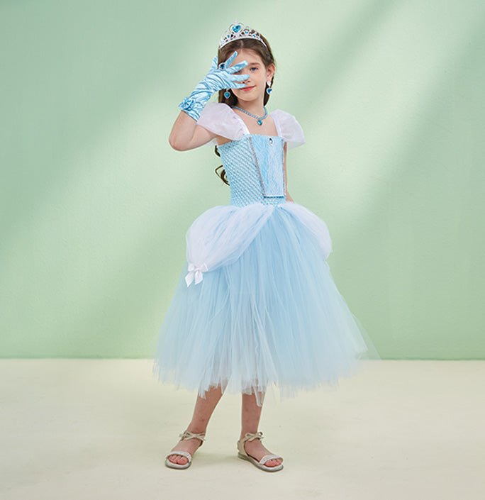 Girls Cinderella Birthday Party Tutu Dress