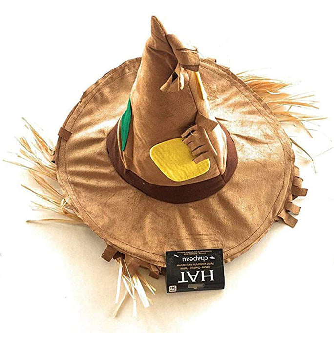 Raffia Scarecrow Wizard Hat